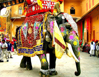 Rajasthan Tour Packages
