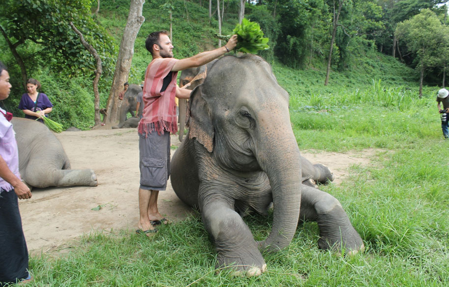 Jaipur Elephant Safari Tour